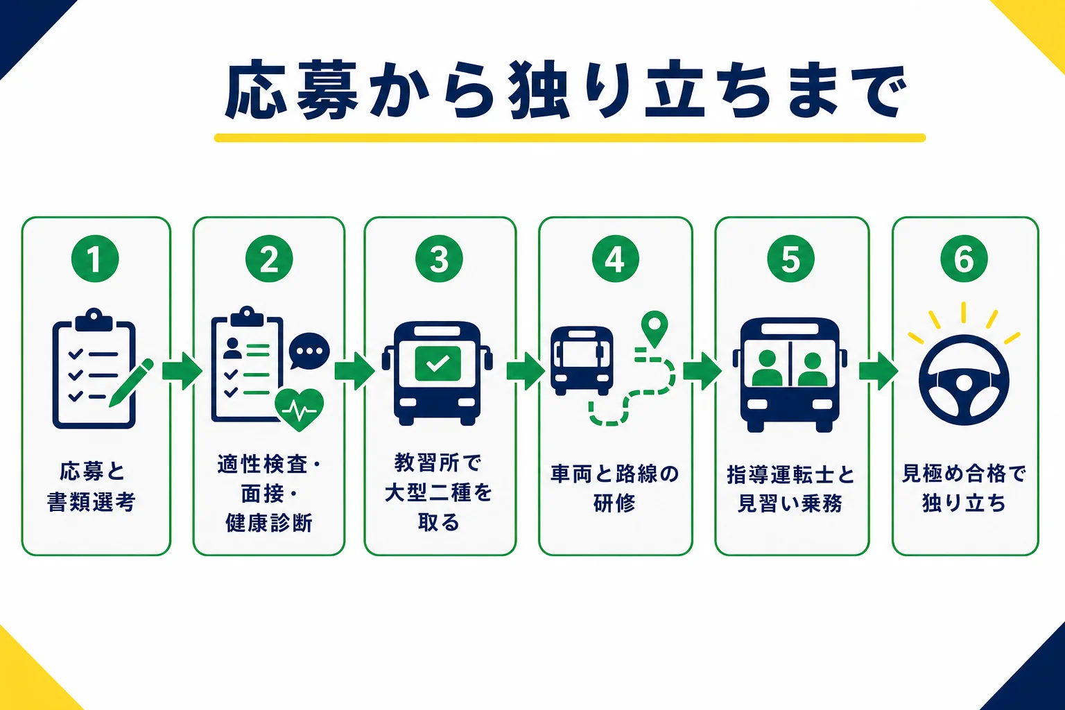 未経験からバス運転士になるまでを、応募・選考・免許取得・研修・見習い乗務・独り立ちの順に示した図解