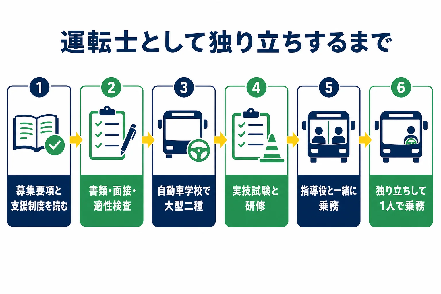 免許を持っていない人がJRバスの運転士になるまでを、応募・選考・免許取得・研修・同乗訓練・独り立ちの順に示した図解