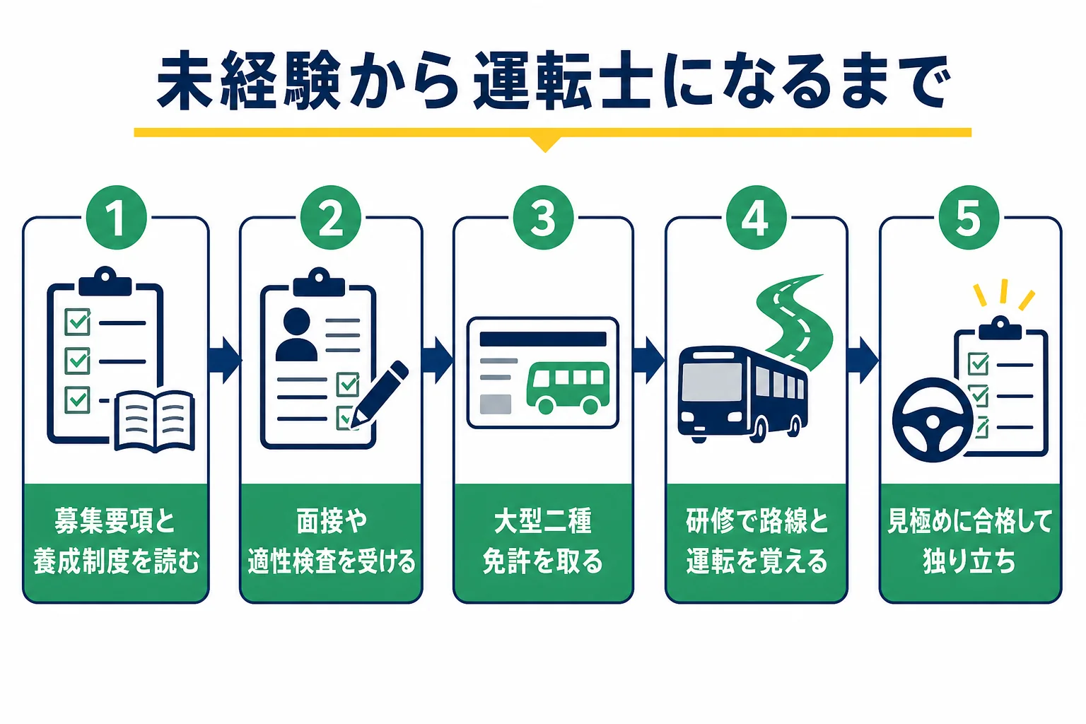 未経験から路線バスの運転士になるまでを、募集要項の確認・選考・大型二種の取得・研修・独り立ちの順に示した図解