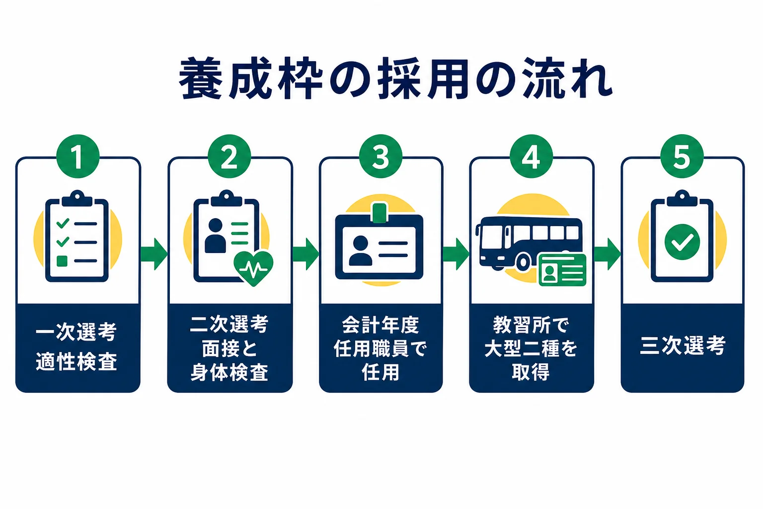 都営バス運転手の養成枠の流れを、一次選考の適性検査・二次選考の面接と身体検査・会計年度任用職員として任用・大型二種の取得・三次選考の順に示した図解